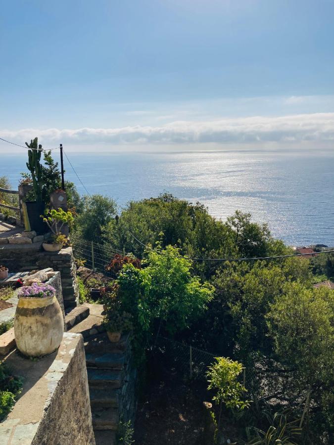 Maison Mediterraneo - Rez De Villa, Vue Imprenable Sur La Mer Pietranera Esterno foto